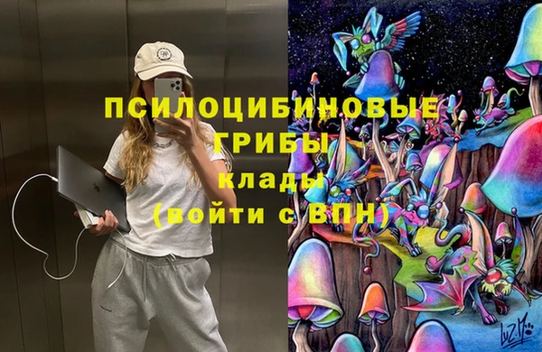 a pvp Балахна