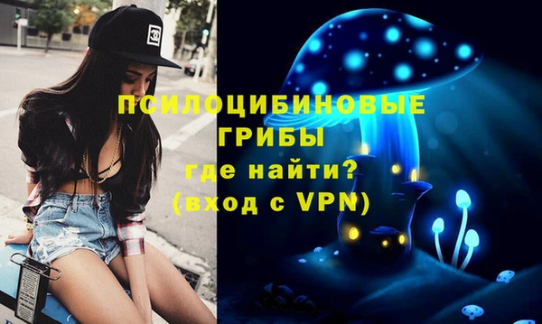 сатива Балабаново